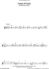 Cover icon of Fields Of Gold sheet music for flute solo by Sting, intermediate skill level