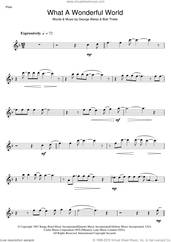 Cover icon of What A Wonderful World sheet music for flute solo by Louis Armstrong, Bob Thiele and George David Weiss, intermediate skill level