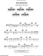 Cover icon of Dos Gardenias sheet music for piano solo (chords, lyrics, melody) by Buena Vista Social Club and Isolina Carrillo, intermediate piano (chords, lyrics, melody)