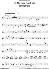 Cover icon of It's The Hard-Knock Life (from Annie) sheet music for flute solo by Charles Strouse and Martin Charnin, intermediate skill level