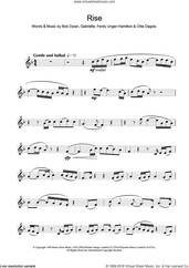 Cover icon of Rise sheet music for flute solo by Gabrielle, Bob Dylan, Ferdy Unger-Hamilton and Ollie Dagois, intermediate skill level