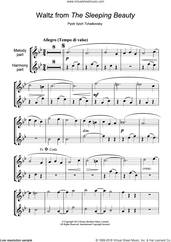 Cover icon of Waltz (from The Sleeping Beauty) sheet music for flute solo by Pyotr Ilyich Tchaikovsky, classical score, intermediate skill level