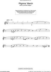 Cover icon of Pilgrims' March sheet music for flute solo by Richard Wagner, classical score, intermediate skill level