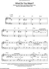 Cover icon of What Do You Mean? sheet music for piano solo by Justin Bieber, Jason Boyd and Mason Levy, easy skill level