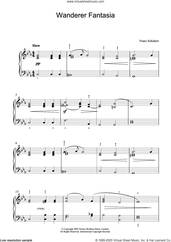 Cover icon of Wanderer Fantasia sheet music for piano solo by Franz Schubert, classical score, intermediate skill level