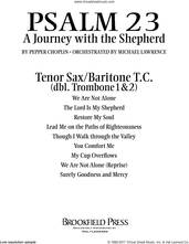 Cover icon of Psalm 23, a journey with the shepherd sheet music for orchestra/band (tenor sax/baritc, sub tbn 1-2) by Pepper Choplin, intermediate skill level