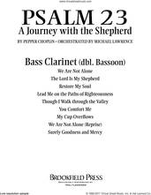 Cover icon of Psalm 23, a journey with the shepherd sheet music for orchestra/band (bass clarinet, sub. bassoon) by Pepper Choplin, intermediate skill level