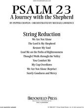 Cover icon of Psalm 23, a journey with the shepherd sheet music for orchestra/band (keyboard string reduction) by Pepper Choplin, intermediate skill level