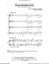 Cover icon of Dorme Bambino Gesu sheet music for choir (SATB: soprano, alto, tenor, bass) by Clara Petrelli Carr and Luke Mayernik, intermediate skill level