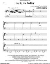 Cover icon of Cut To The Feeling (complete set of parts) sheet music for orchestra/band by Carly Rae Jepsen, L Despain, Nolan Lambroza and Simon Wilcox, intermediate skill level