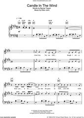 Cover icon of Candle In The Wind sheet music for voice, piano or guitar by Ed Sheeran, intermediate skill level