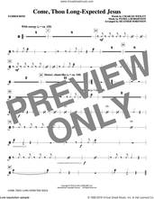 Cover icon of Come, Thou Long-Expected Jesus (arr. Heather Sorenson) sheet music for orchestra/band (tambourine) by Charles Wesley, Heather Sorenson and Pamela Robertson, intermediate skill level