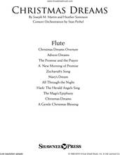 Cover icon of Christmas Dreams (A Cantata) sheet music for orchestra/band (flute) by Joseph M. Martin and Heather Sorenson, Brant Adams and Joseph M. Martin, intermediate skill level