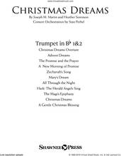 Cover icon of Christmas Dreams (A Cantata) sheet music for orchestra/band (Bb trumpet 1,2) by Joseph M. Martin and Heather Sorenson, Brant Adams and Joseph M. Martin, intermediate skill level