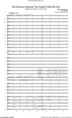 Cover icon of The Heavens Opened; The Angels Filled the Sky (COMPLETE) sheet music for orchestra/band by Sue Neuen, intermediate skill level