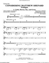Cover icon of Considering Matthew Shepard sheet music for orchestra/band (clarinet) by Craig Hella Johnson, Leslea Newman and Michael Dennis Browne, intermediate skill level