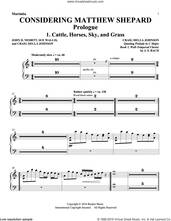 Cover icon of Considering Matthew Shepard sheet music for orchestra/band (marimba) by Craig Hella Johnson, Leslea Newman and Michael Dennis Browne, intermediate skill level
