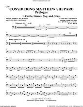 Cover icon of Considering Matthew Shepard sheet music for orchestra/band (cello) by Craig Hella Johnson, Leslea Newman and Michael Dennis Browne, intermediate skill level