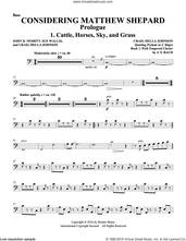 Cover icon of Considering Matthew Shepard sheet music for orchestra/band (double bass) by Craig Hella Johnson, Leslea Newman and Michael Dennis Browne, intermediate skill level