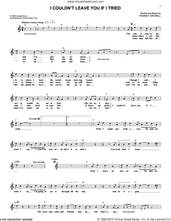 Cover icon of I Couldn't Leave You If I Tried sheet music for voice and other instruments (fake book) by Rodney Crowell, intermediate skill level