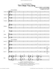 Cover icon of 'Till I Hear You Sing (from Love Never Dies) (arr. Mac Huff) (COMPLETE) sheet music for orchestra/band by Mac Huff, Andrew Lloyd Webber and Glenn Slater, intermediate skill level