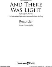 Cover icon of And There Was Light sheet music for orchestra/band (recorder) by Joseph M. Martin and Brad Nix, intermediate skill level