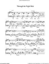 Cover icon of Through The Night Mist sheet music for piano solo by Vangelis, intermediate skill level