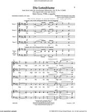 Cover icon of Die Lotosblume (Ed. Matthew D. Oltman) sheet music for choir (TTBB: tenor, bass) by Robert Schumann, Matthew Oltman and Heinrich Hein, intermediate skill level