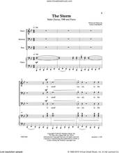Cover icon of The Storm sheet music for choir (TBB: tenor, bass) by Dan Davidson, intermediate skill level