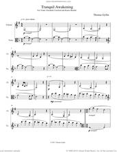 Cover icon of Tranquil Awakening sheet music for clarinet and viola (duet) by Thomas Gyllin, intermediate skill level