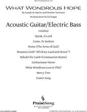 Cover icon of What Wondrous Hope (Praise Band) sheet music for orchestra/band (acoustic guitar/electric bass) by Joseph M. Martin and Heather Sorenson, Heather Sorenson and Joseph M. Martin, intermediate skill level