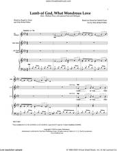 Cover icon of Lamb of God, What Wondrous Love sheet music for voice and piano by Gabriel Faure and Allan Petker, intermediate skill level