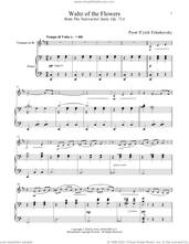 Cover icon of Waltz Of The Flowers, Op. 71a (from The Nutcracker) sheet music for trumpet and piano by Pyotr Ilyich Tchaikovsky, classical score, intermediate skill level