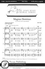 Cover icon of Magnus Dominus sheet music for choir (SATB: soprano, alto, tenor, bass) by John Tebay, intermediate skill level