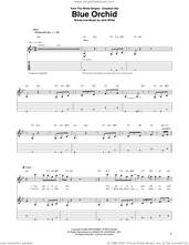 Cover icon of Blue Orchid sheet music for guitar (tablature) by The White Stripes and Jack White, intermediate skill level