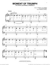 Cover icon of Moment Of Triumph (from Andrew Lloyd Webber's Cinderella) sheet music for piano solo by Andrew Lloyd Webber, David Zippel and Emerald Fennell, easy skill level