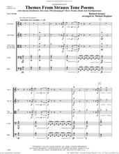 Cover icon of Themes From Strauss Tone Poems (COMPLETE) sheet music for orchestra by Michael Hopkins and Richard Strauss, classical score, intermediate skill level