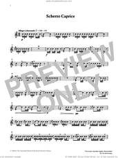 Cover icon of Scherzo Caprice from Graded Music for Snare Drum, Book IV sheet music for percussions by Ian Wright, Ian Wright and Kevin Hathaway and Kevin Hathway, classical score, intermediate skill level