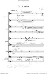 Cover icon of Small Raine sheet music for choir (SATB: soprano, alto, tenor, bass) by Nico Muhly, classical score, intermediate skill level
