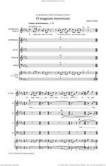 Cover icon of O Magnum Mysterium sheet music for choir (SATB: soprano, alto, tenor, bass) by Owain Park, intermediate skill level