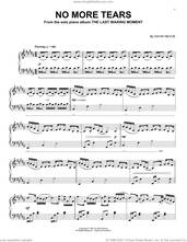 Cover icon of No More Tears sheet music for piano solo by David Nevue, intermediate skill level