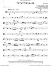 Cover icon of The Coming Joy sheet music for orchestra/band (viola) by Joseph M. Martin, intermediate skill level