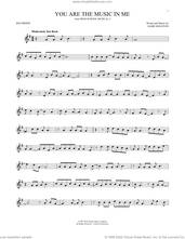 Cover icon of You Are The Music In Me (from High School Musical 2) sheet music for recorder solo by Zac Efron and Vanessa Hudgens, Zac Efron and Vanessa Anne Hudgens and Jamie Houston, intermediate skill level