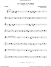 Cover icon of A Whole New World (from Aladdin) sheet music for recorder solo by Alan Menken, Alan Menken & Tim Rice and Tim Rice, intermediate skill level
