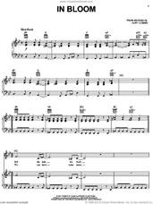 Cover icon of In Bloom sheet music for voice, piano or guitar by Nirvana and Kurt Cobain, intermediate skill level