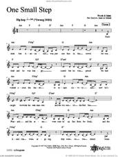 Cover icon of One Small Step sheet music for voice and other instruments (fake book) by Peri Smilow, intermediate skill level