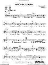 Cover icon of Tear Down the Walls sheet music for voice and other instruments (fake book) by Rick Recht, intermediate skill level