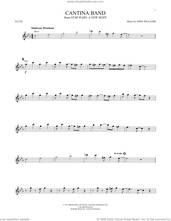 Cover icon of Cantina Band (from Star Wars: A New Hope) sheet music for flute solo by John Williams, intermediate skill level