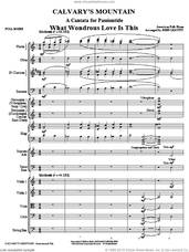 Cover icon of Calvary's Mountain (COMPLETE) sheet music for orchestra/band (chamber ensemble) by John Leavitt, intermediate skill level