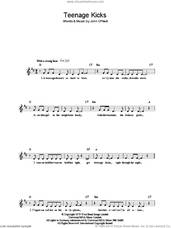Cover icon of Teenage Kicks sheet music for voice and other instruments (fake book) by The Undertones, intermediate skill level